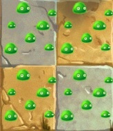 MoldColony