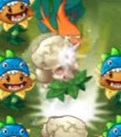 PFCaulipower