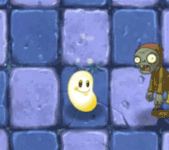 Sun BeanPF1