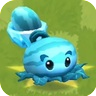 Winter Melon3