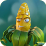 Kernel CornGW2