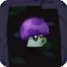 Puff-Shroom3
