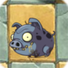 Zombie PiggyO