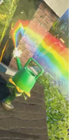 Revive Rainbow
