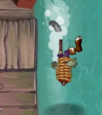 Seagullstunned