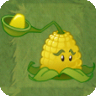 Kernel-pultAS
