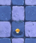 Sun-shroomPF