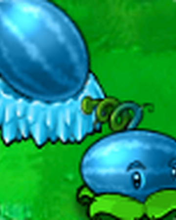 Winter Melon Plants Vs Zombies Plants Vs Zombies Wiki Fandom