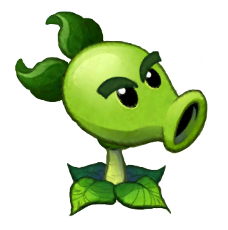 Chat citron Chat citron