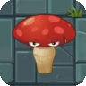 Flat-shroom2