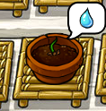 MysterySprout