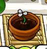 FlowerPot2 copy