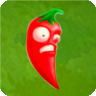 JalapeñoA