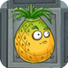 Pineapple2