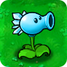 Snow Pea2