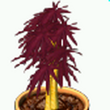 Bamboo Plant Tycoon Wiki Fandom