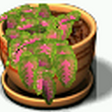 Plant Tycoon Wiki