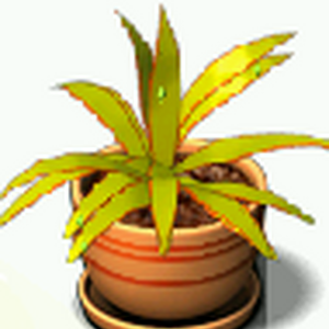 Ananas Plant Tycoon Wiki Fandom