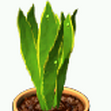 Plant Tycoon Wiki