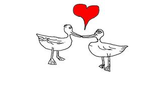 Ducklove