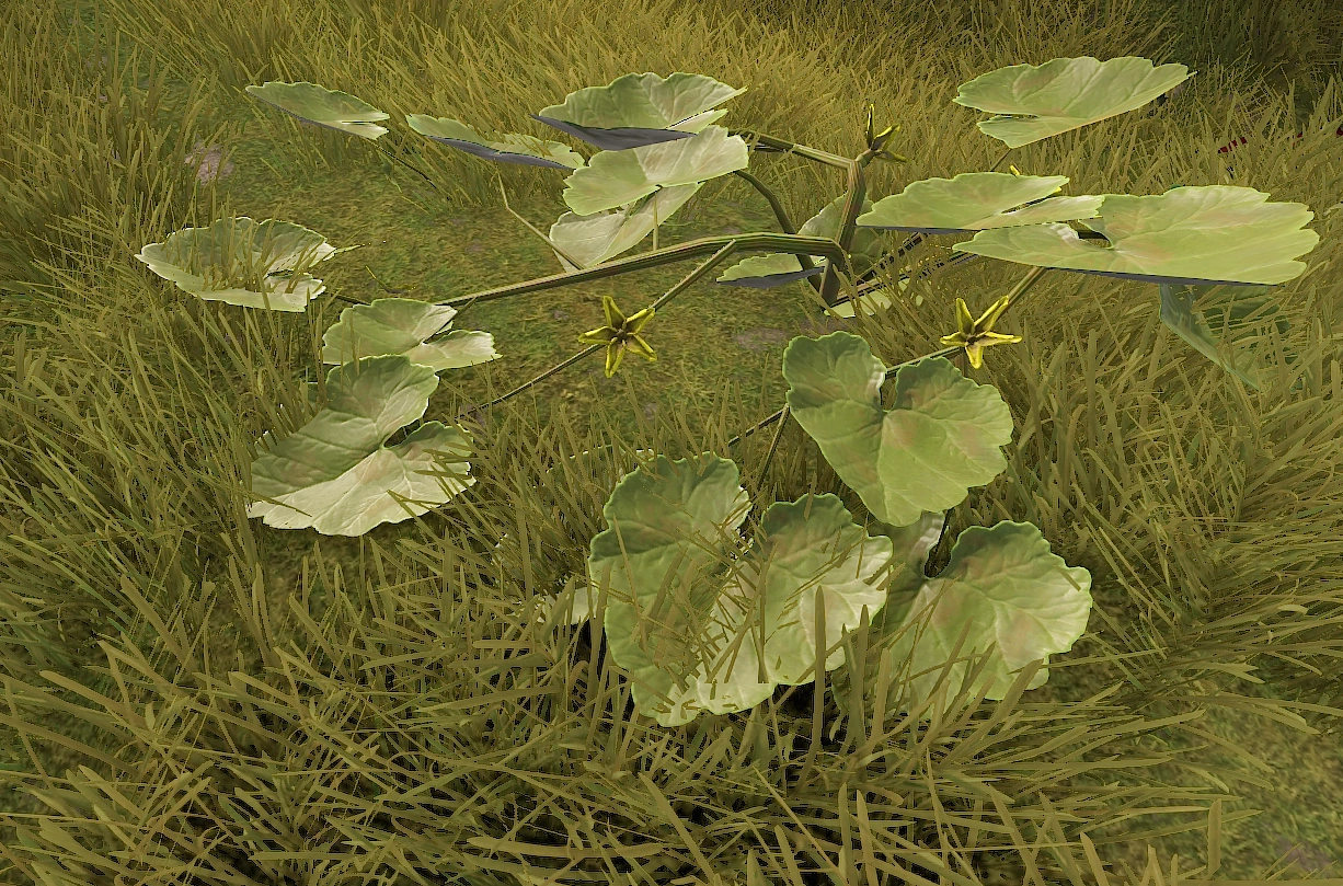 Pumpkin Rust Wiki FANDOM powered by Wikia