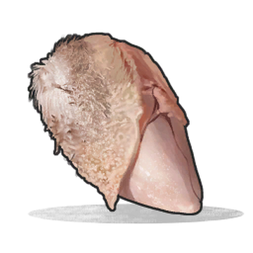 Chicken Breast Rust Wiki Fandom
