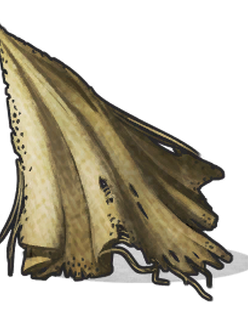 Cloth Rust Wiki Fandom