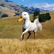 Digital-collage-hybrid-animals-arne-fredriksen-7