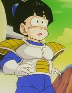 Gohan armor