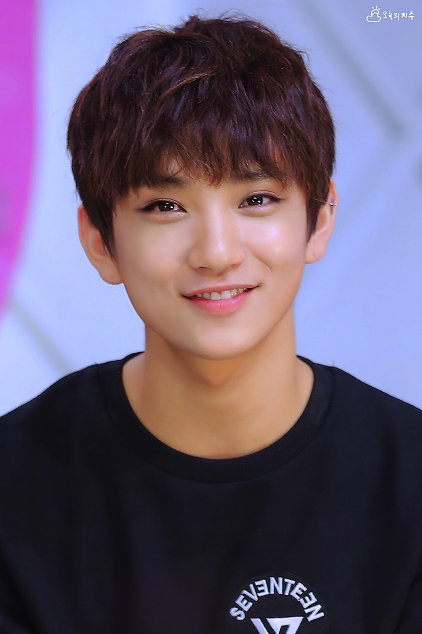 Image Joshua Hong.jpg Pledis 17 Wiki FANDOM powered by Wikia