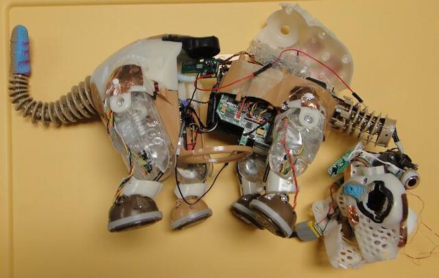 File:Pleorb guts.jpg