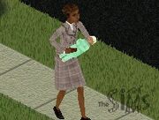Social Worker Working