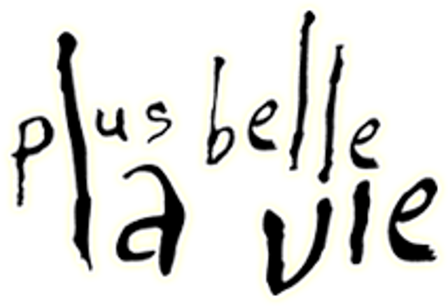 Fichier:Wikia-Visualization-Main.png