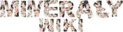 Minerały Wiki propozycja logo-1