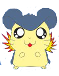 Typhlosion Hamster
