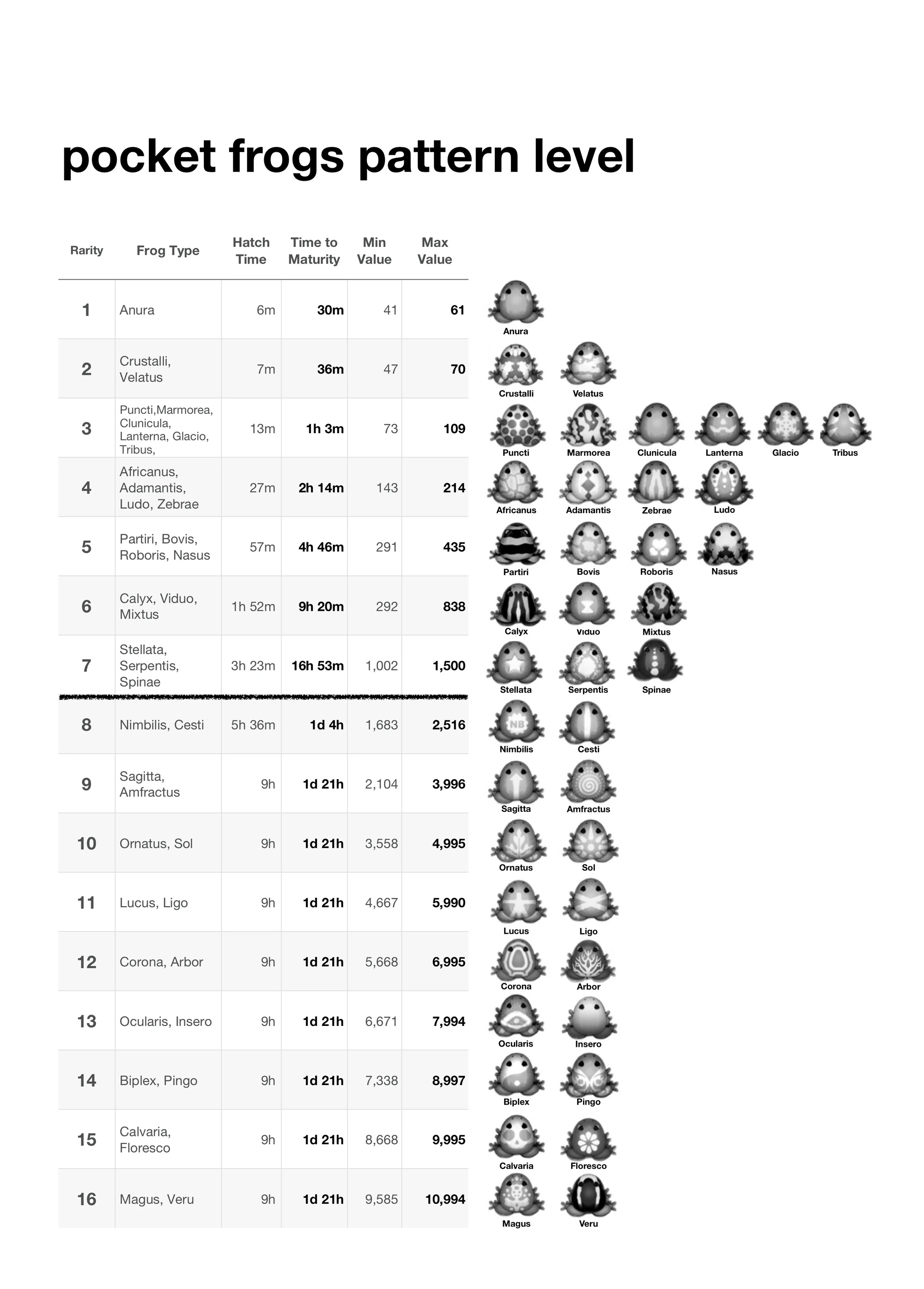 Image Pattern.jpg Pocket Frogs Wiki FANDOM powered by Wikia
