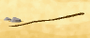 Fishing pole