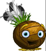 Wilson2