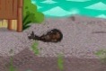 Burntfish
