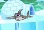 Swordfish