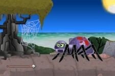 Spider