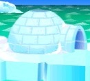 Igloo