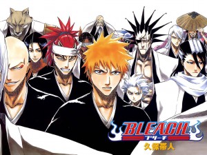 Bleach36-300x225