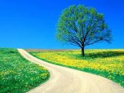 Spring