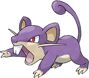 Rattata