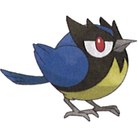 Kranoviz Pokemon Wiki Fandom
