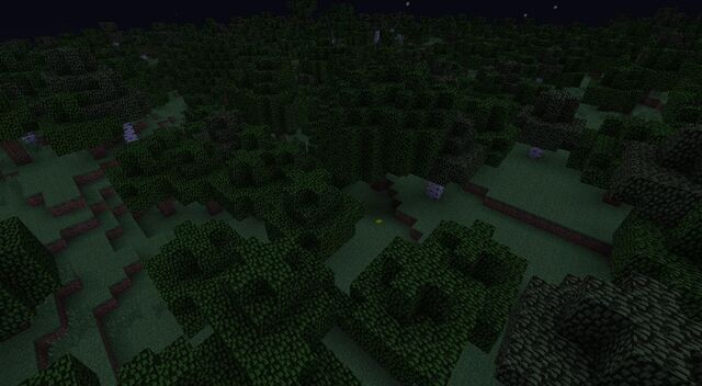 File:Forest.jpg