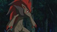 Zoroark M13