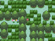 Zona Safari 2