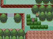 Zona Safari 1